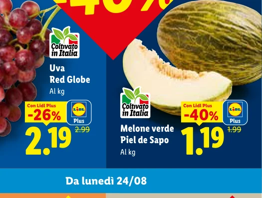 Melone verde Piel de Sapo