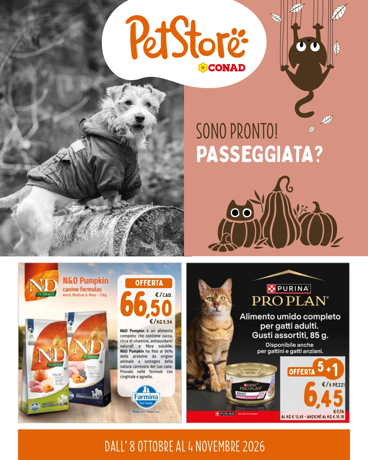Copertina volantino Conad Superstore