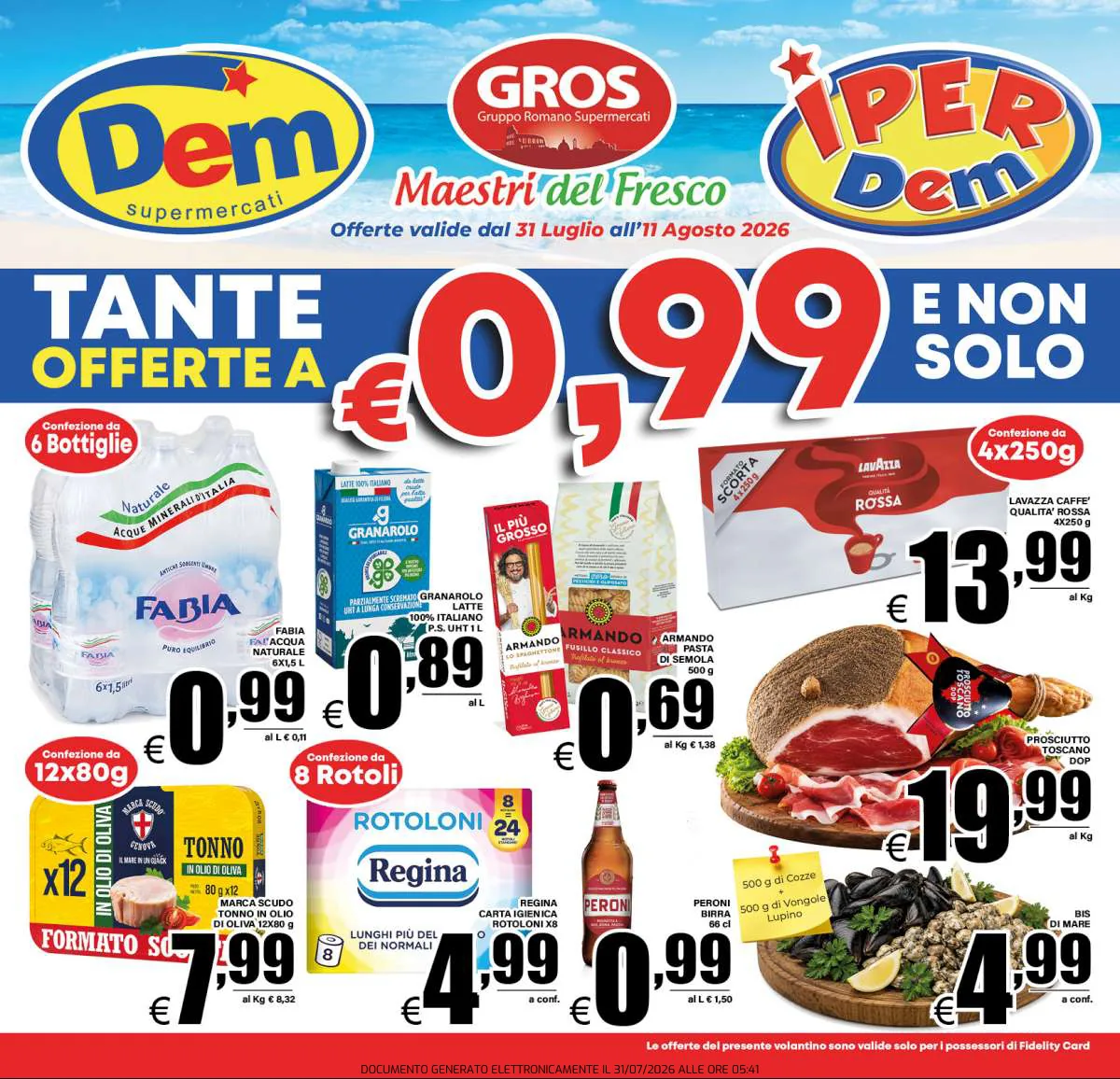 Volantino DEM a Frosinone