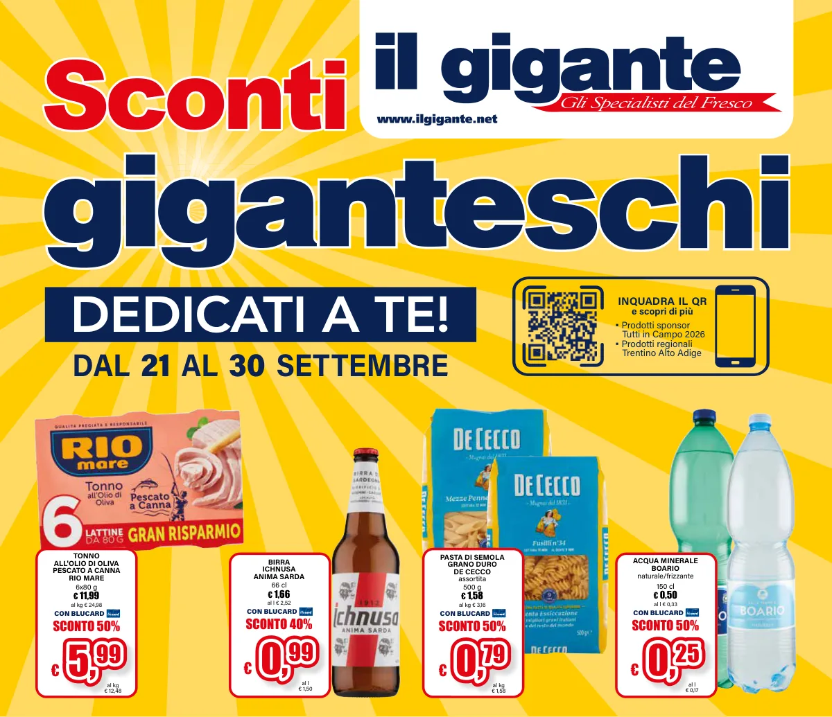 Volantino il gigante offerte Rottofreno - Loc. San Nicolò