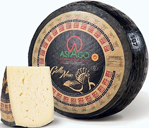 ASIAGO GALLO NERO DOP