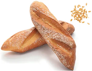 MINI RUSTICHELLA DI SEMOLA*