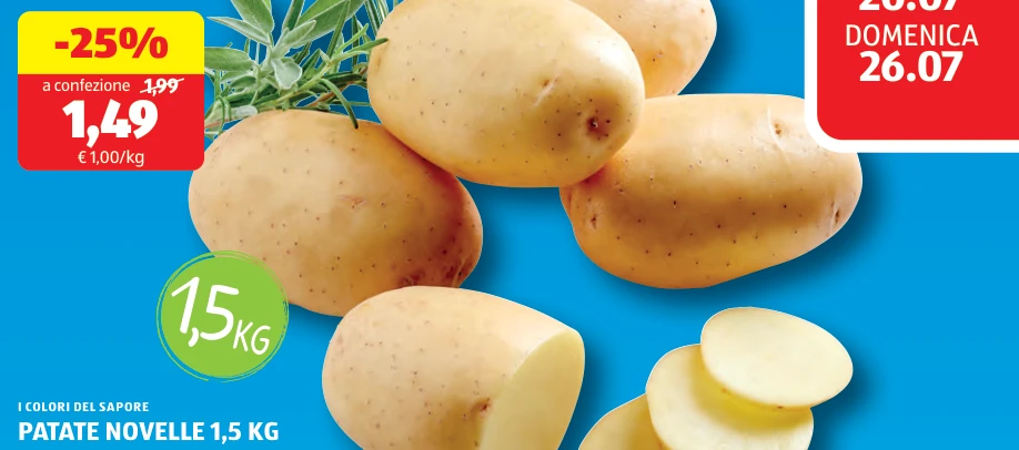 PATATE NOVELLE