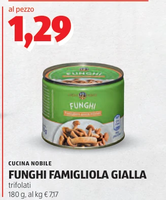 FUNGHI FAMIGLIOLA GIALLA