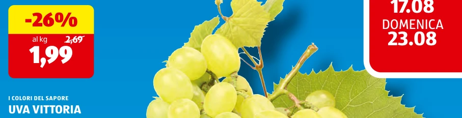UVA VITTORIA