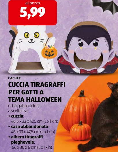 CUCCIA TIRAGRAFFI PER GATTI A TEMA HALLOWEEN - Cachet