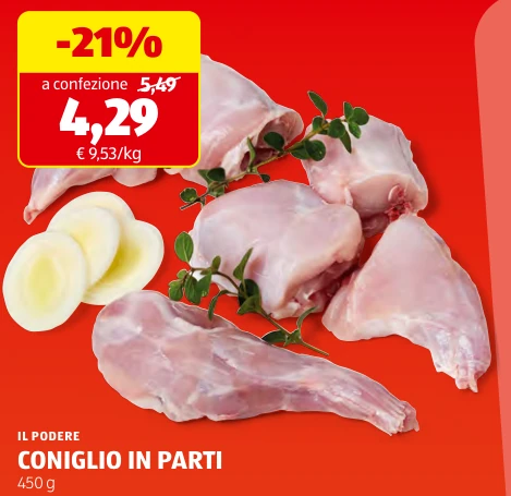 CONIGLIO IN PARTI - Il Podere