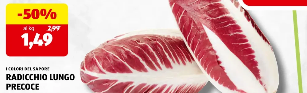 RADICCHIO LUNGO PRECOCE - I Colori Del Sapore