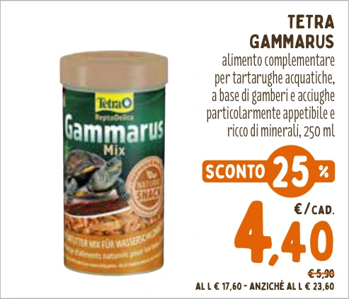 TETRA GAMMARUS