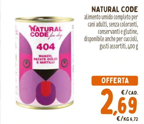 NATURAL CODE