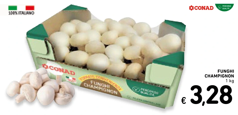 FUNGHI CHAMPIGNON