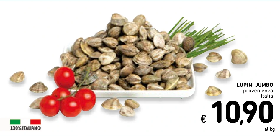 LUPINI JUMBO
