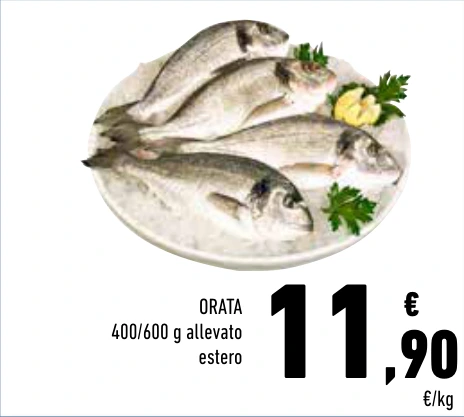 ORATA