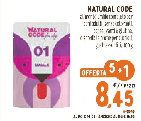 NATURAL CODE