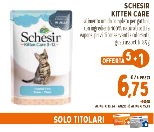SCHESIR KITTEN CARE