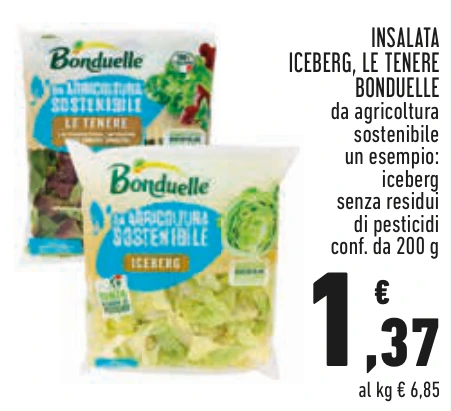 INSALATA ICEBERG, LE TENERE BONDUELLE