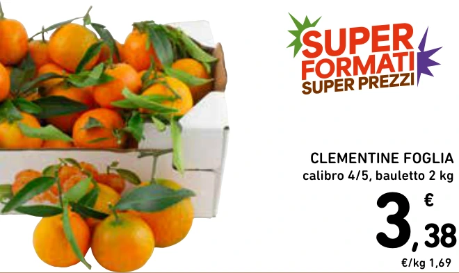 CLEMENTINE FOGLIA