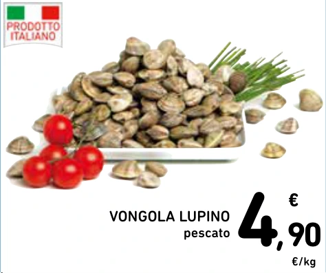 VONGOLA LUPINO