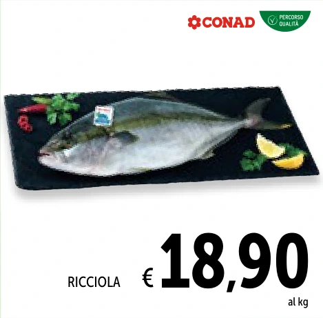 RICCIOLA
