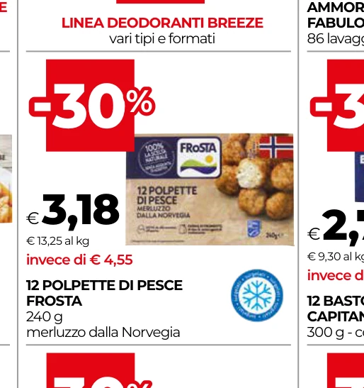 12 POLPETTE DI PESCE FROSTA