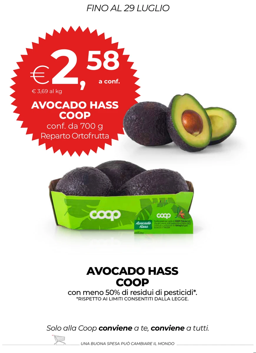 AVOCADO HASS COOP