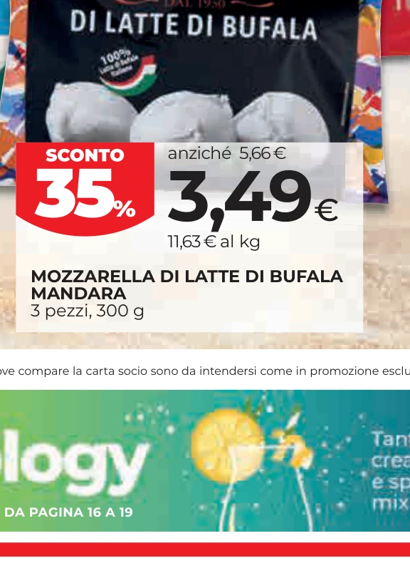 MOZZARELLA DI LATTE DI BUFALA MANDARA