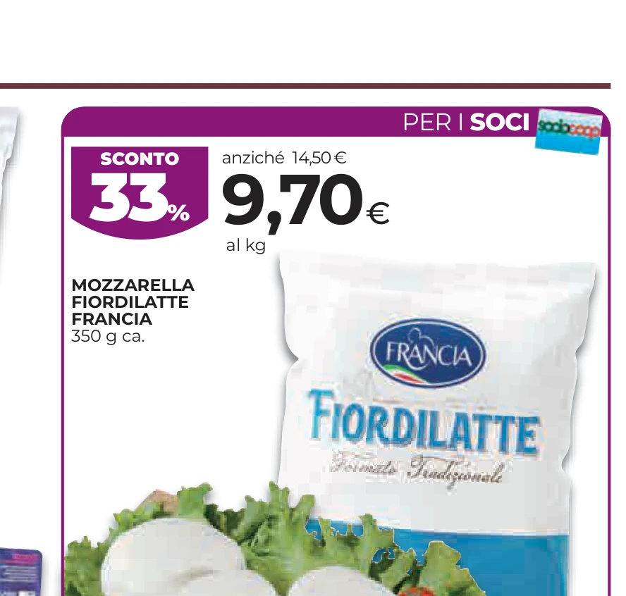 MOZZARELLA FIORDILATTE FRANCIA