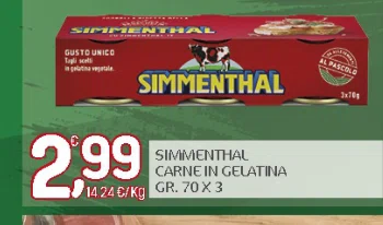 IPPEN SIMMENTHAL