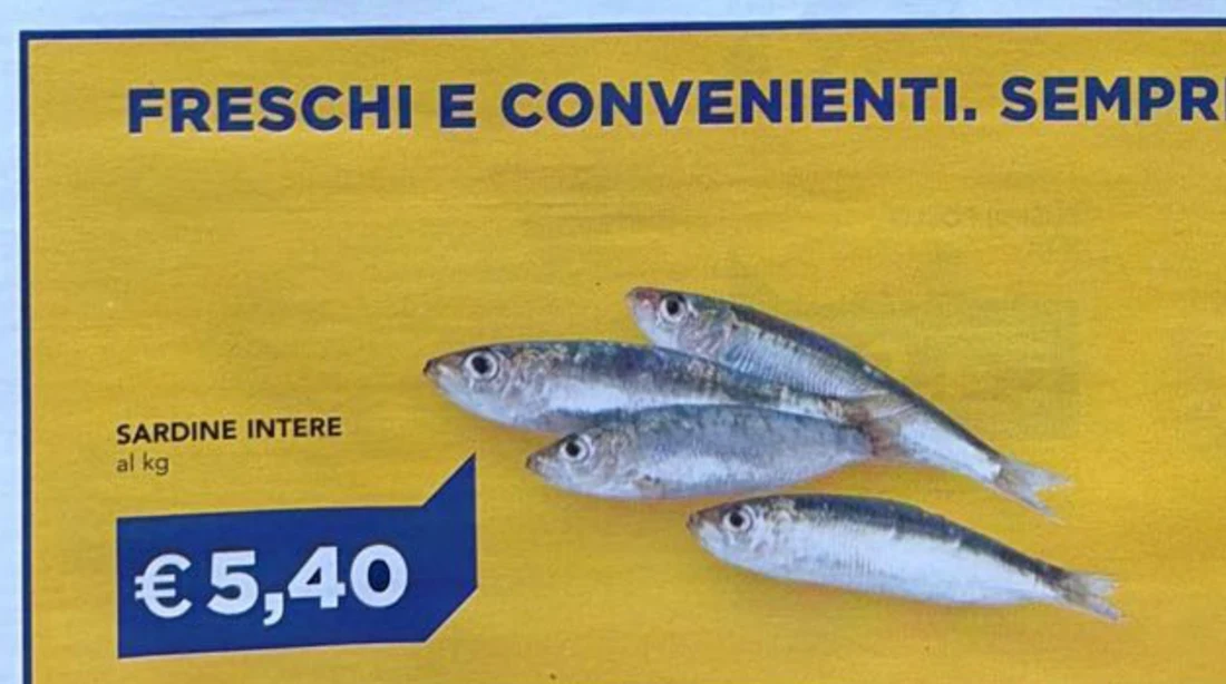 Sardine intere