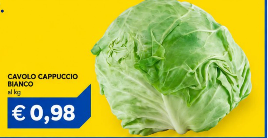 Cavolo cappuccio bianco