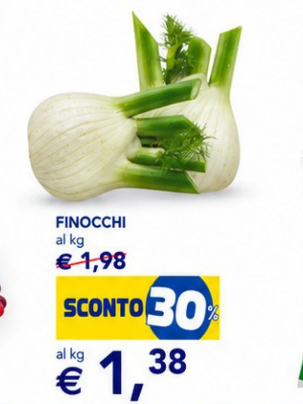 Finocchi