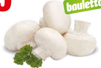 FUNGHI CHAMPIGNON