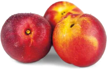 NETTARINE A POLPA GIALLA