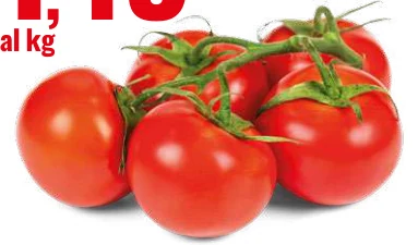 POMODORO GRAPPOLO