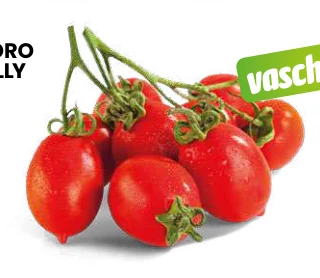 POMODORO PICCADILLY