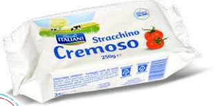 STRACCHINO CREMOSO 250