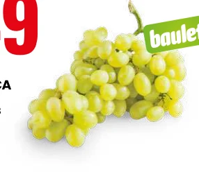UVA BIANCA