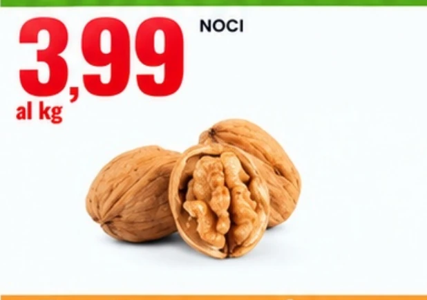 Noci