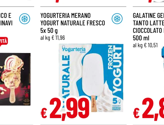 YOGURTERIA MERANO YOGURT NATURALE FRESCO