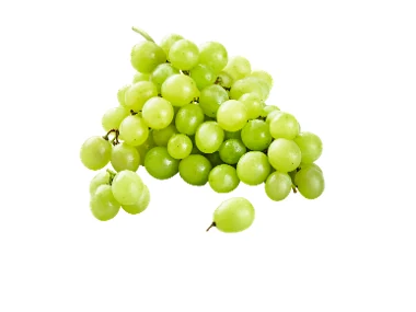 Uva bianca