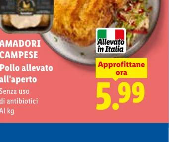 AMADORI CAMPESE Pollo allevato all'aperto Senza uso di antibiotici