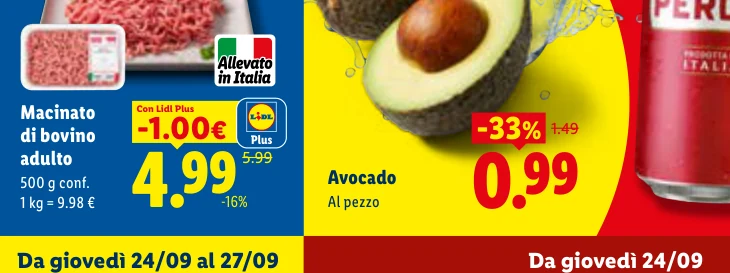 Avocado