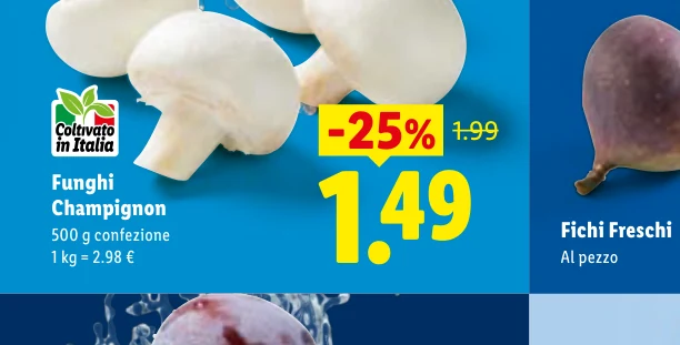 Funghi Champignon