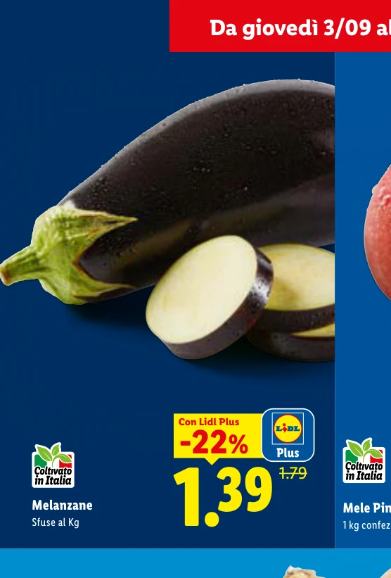Melanzane Sfuse