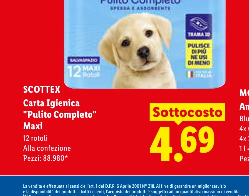 Sottocosto