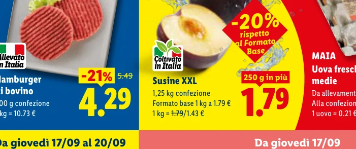 Susine XXL