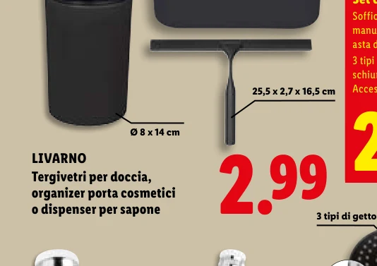 Tergivetri per doccia, organizer porta cosmetici o dispenser per sapone - Livarno