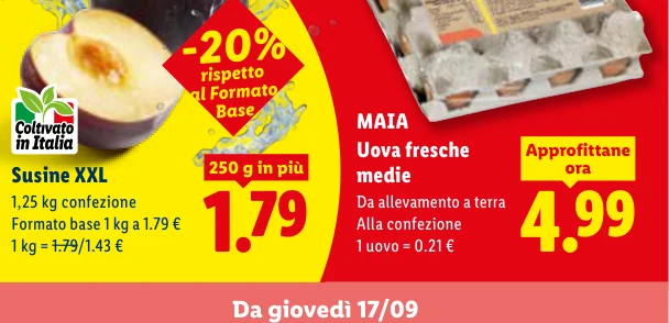 Uova fresche medie - Maia