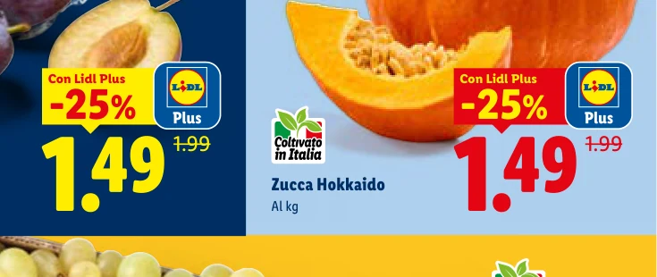 Zucca Hokkaido