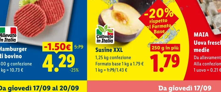 Susine XXL